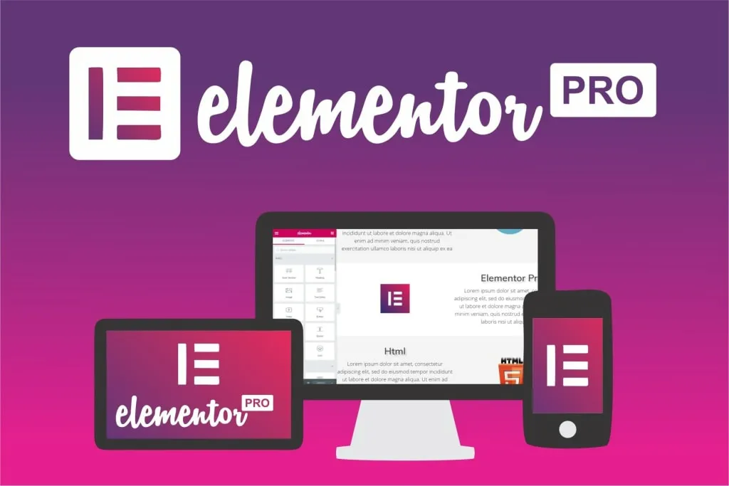 Elementor Pro Services